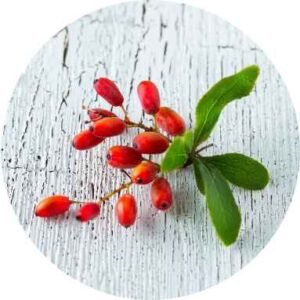 Berberine