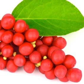 Schisandra Powder